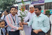 বৃক্ষরোপণ কর্মসূচি